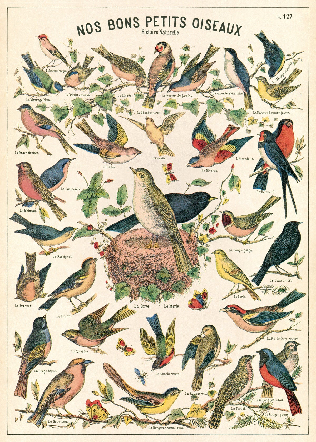 Vintage Poster Birds – Manine Montessori