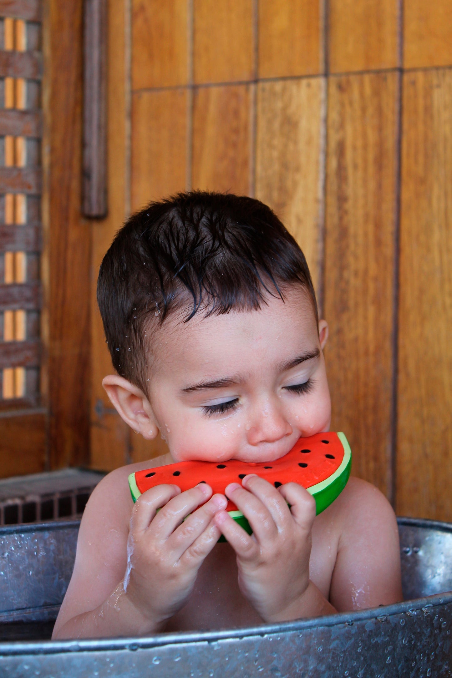 Wally the Watermelon 100% natural rubber teether and bath toy