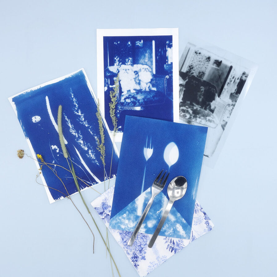 Cyanotype Solar Print Kit Including Cyanotype Paper Plant - Temu