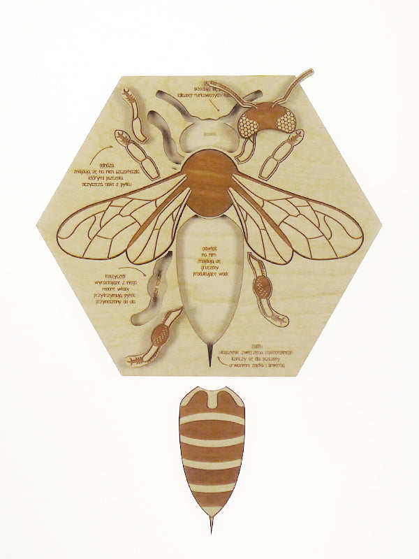 "Busy Bee" wooden Montessori puzzle