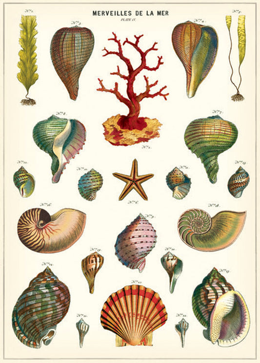 Vintage Poster Wonders of the Sea