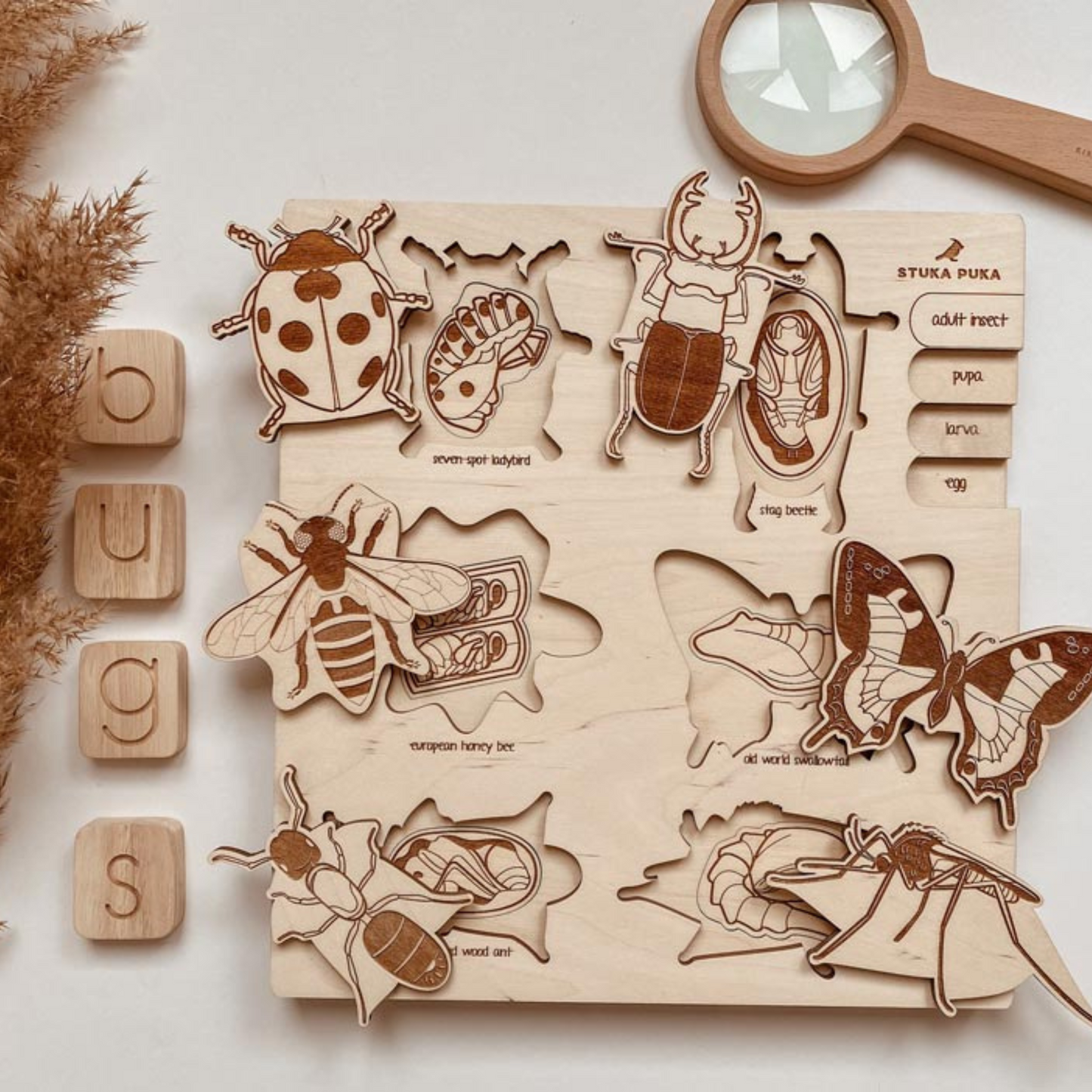 Puzzle Montessori multicouche "La vie d'un insecte"