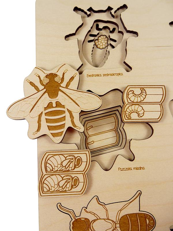 Mehrschichtiges Montessori-Puzzle „Das Leben eines Käfers“.
