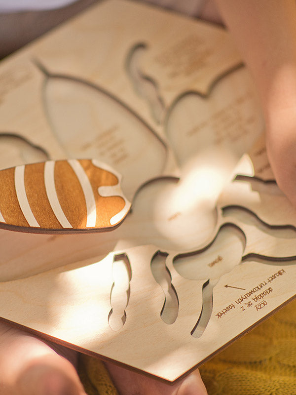 Puzzle en bois “Anatomie de l'abeille”