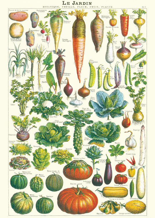 Vintage Poster Vegetables