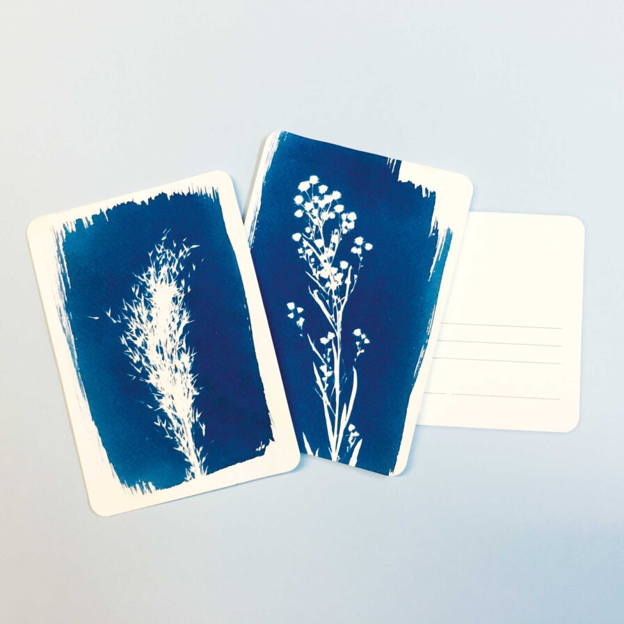 DIY Sun Print (Cyanotype) Kit - Postcards