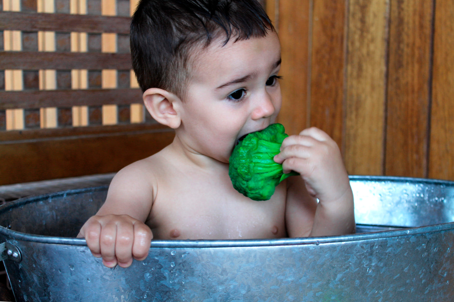 Brucy der Brokkoli, Beißring und Badespielzeug aus 100 % Naturkautschuk