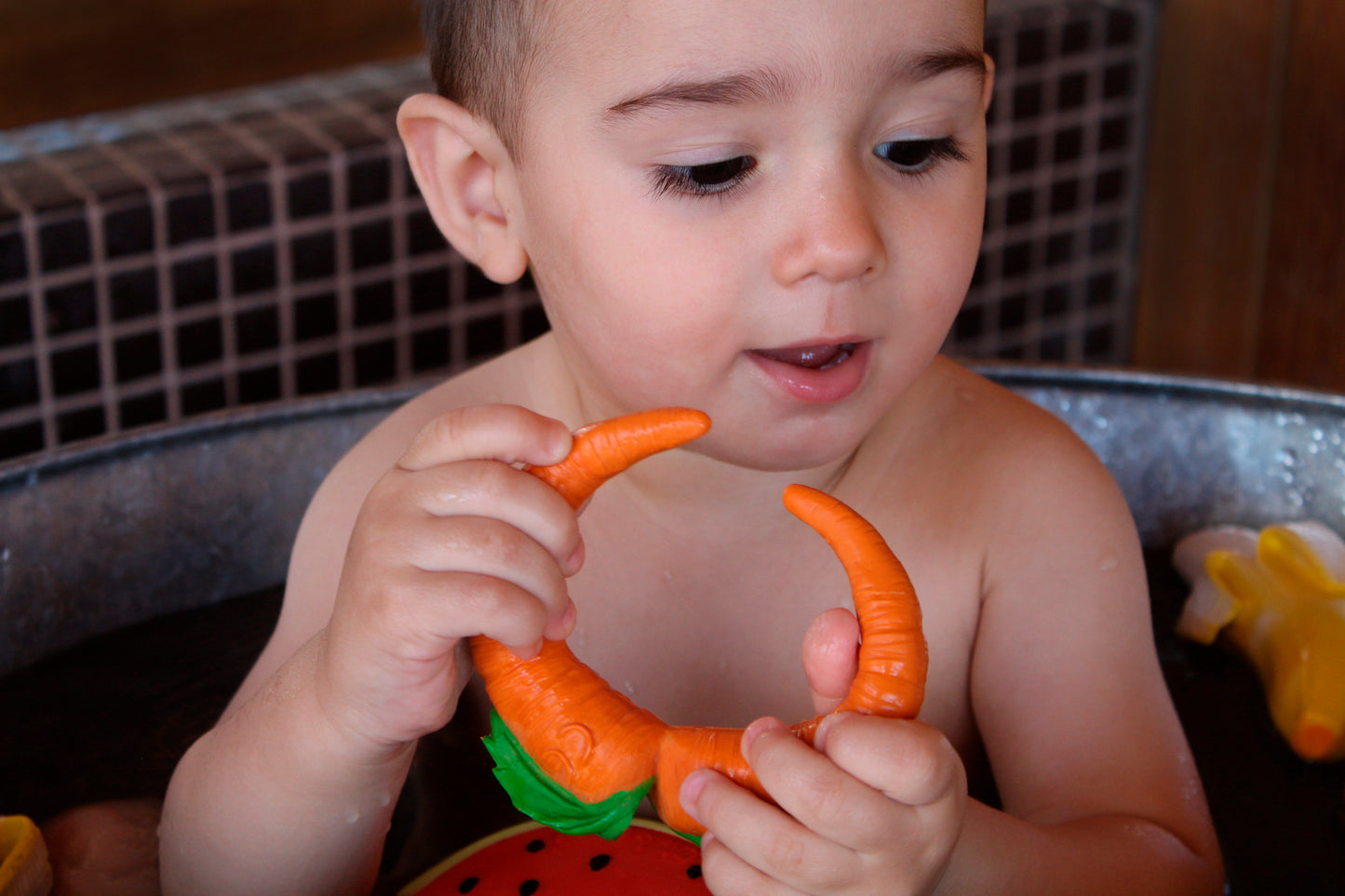 Cathy the Carrot 100% natural rubber teether and bath toy