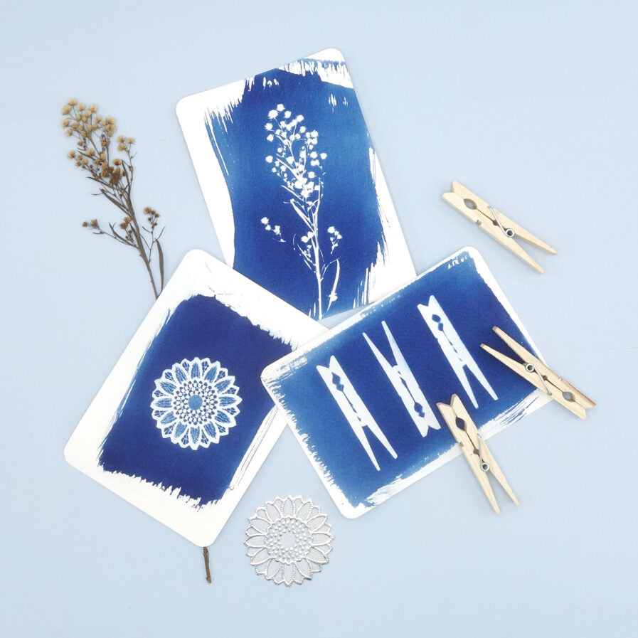 Kit DIY Sun Print (Cyanotype) - Cartes postales