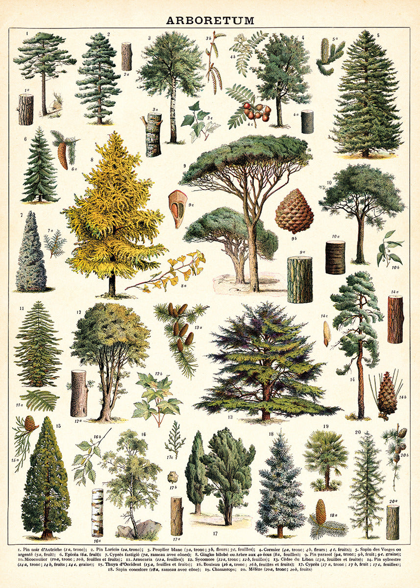 Vintage Poster Trees