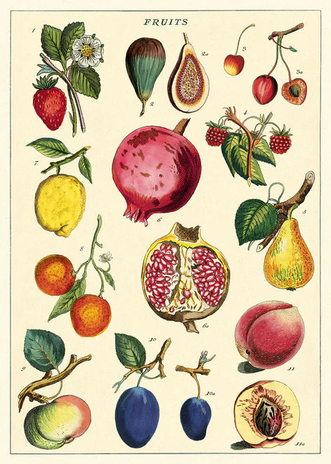 Affiche vintage de fruits 