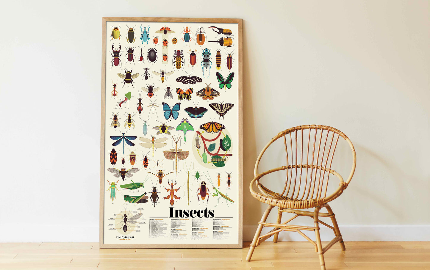 Aufkleber Poster Insekten